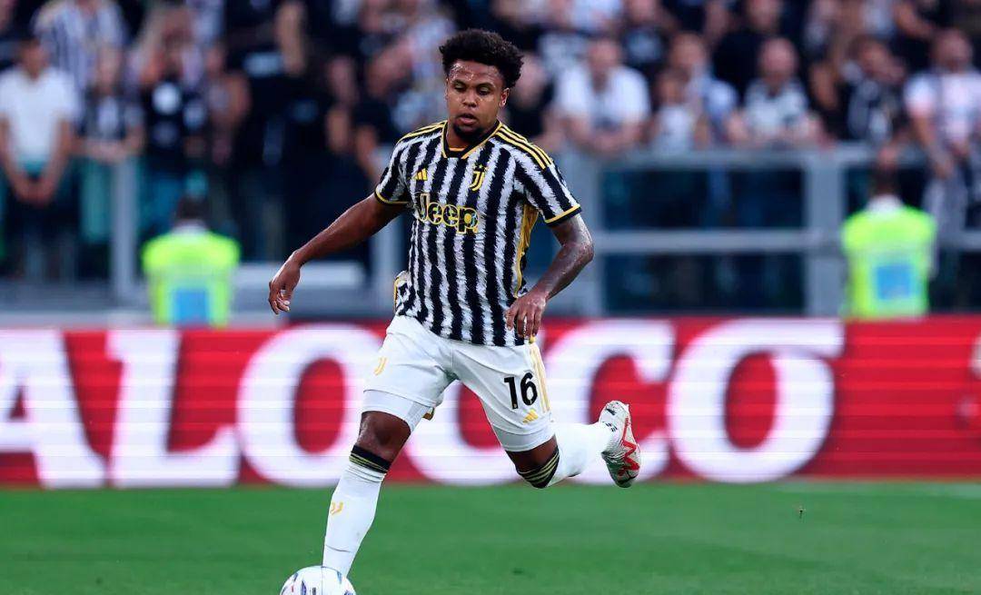 哈兰德为啥不能参加世界杯